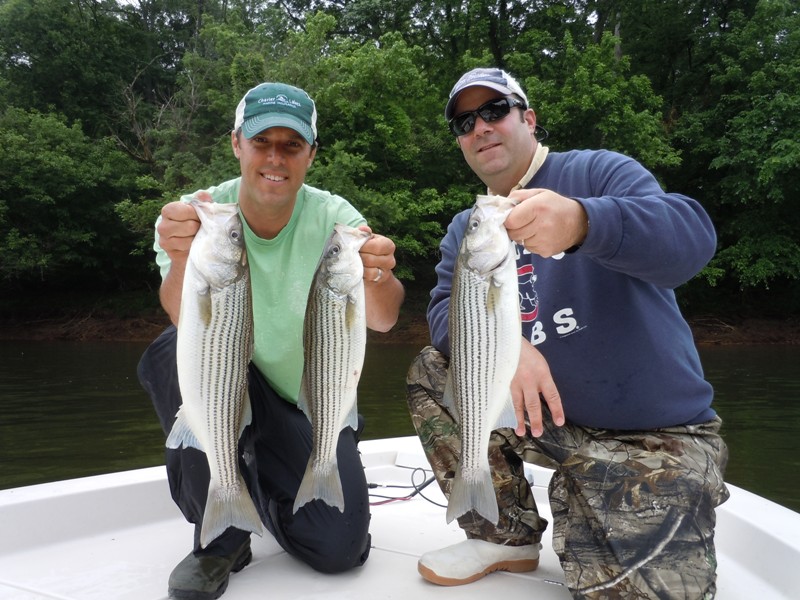 TarPam Guide Service Roanoke River Striper Fishing Charters